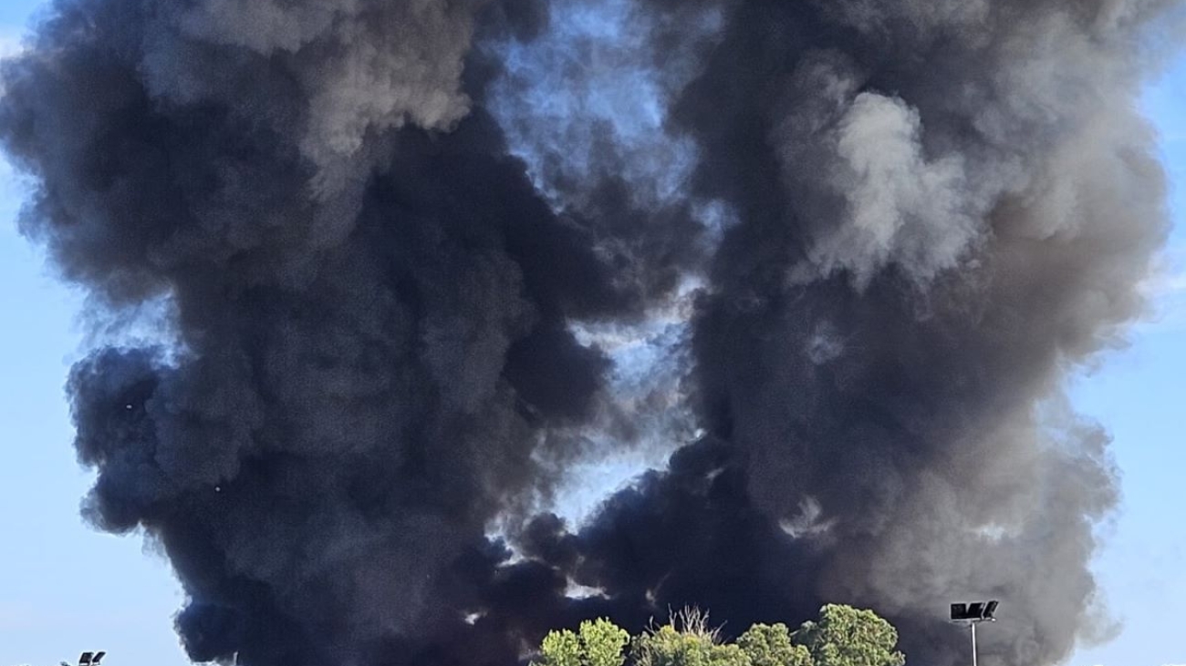 incendioecologica