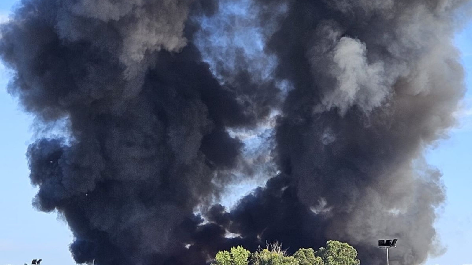 incendioecologica