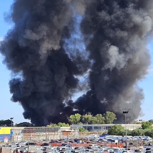 incendioecologica