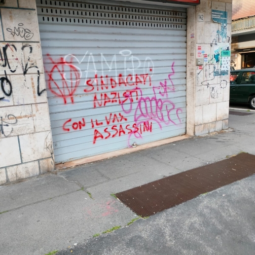 stolone1